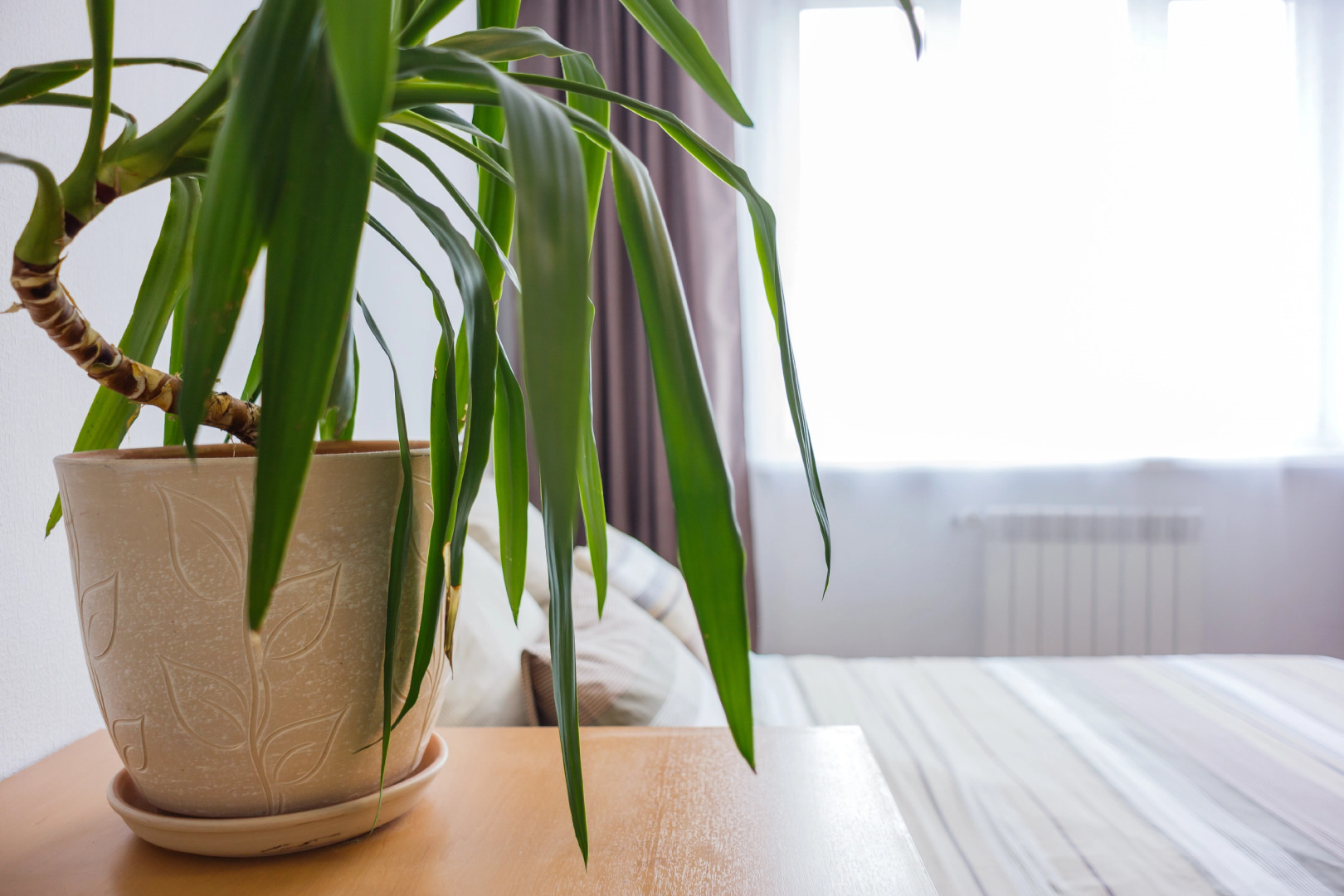 Квартира ApartHause уют и комфорт в ЖК Малевич