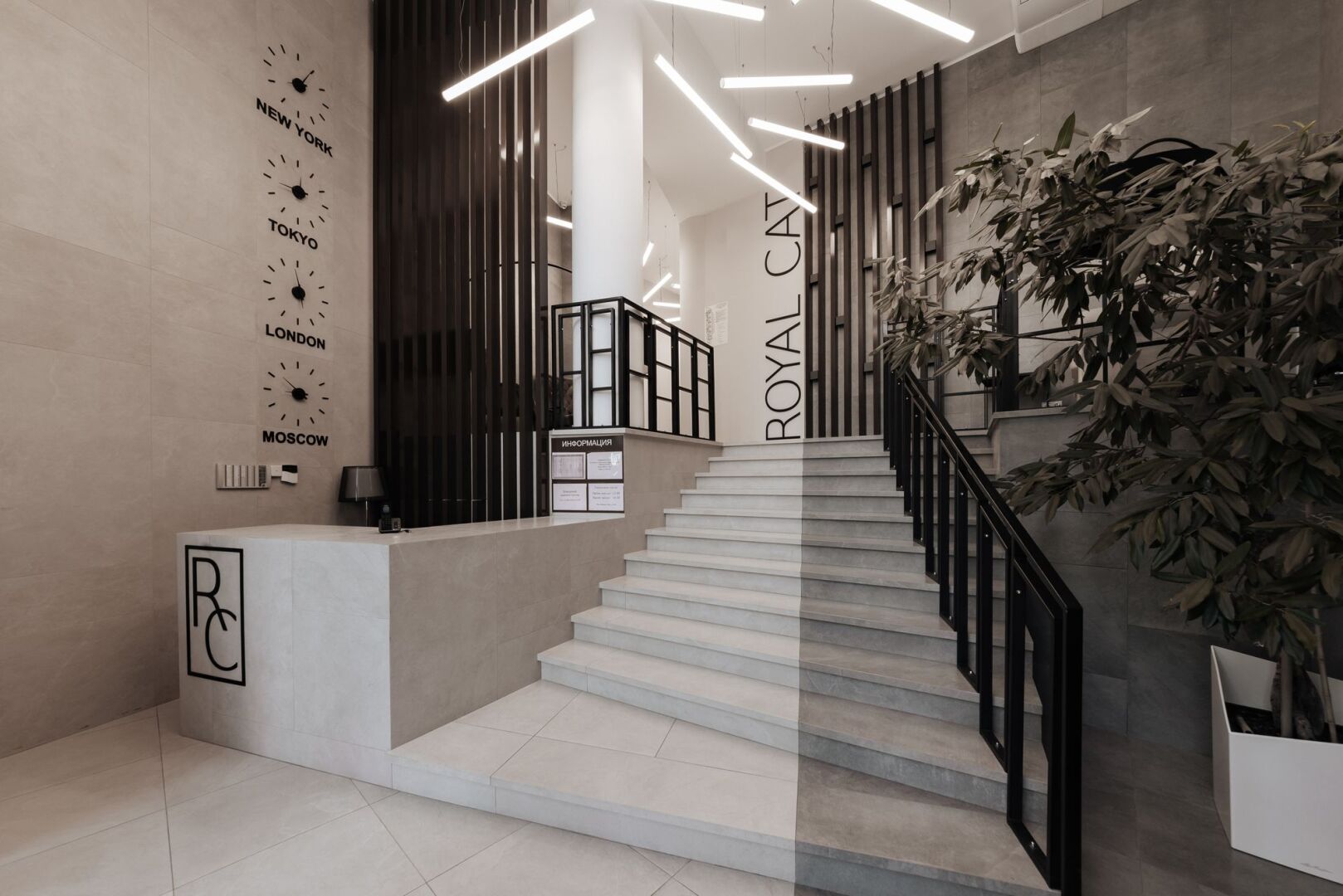 Отель Royal Cat