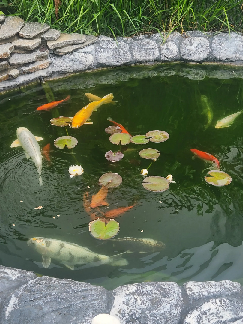 Апартаменты в Сириусе с видом на море и Олимпийский парк