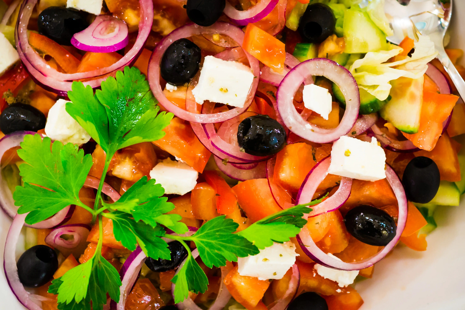 Отель SPA Hotel Gloria