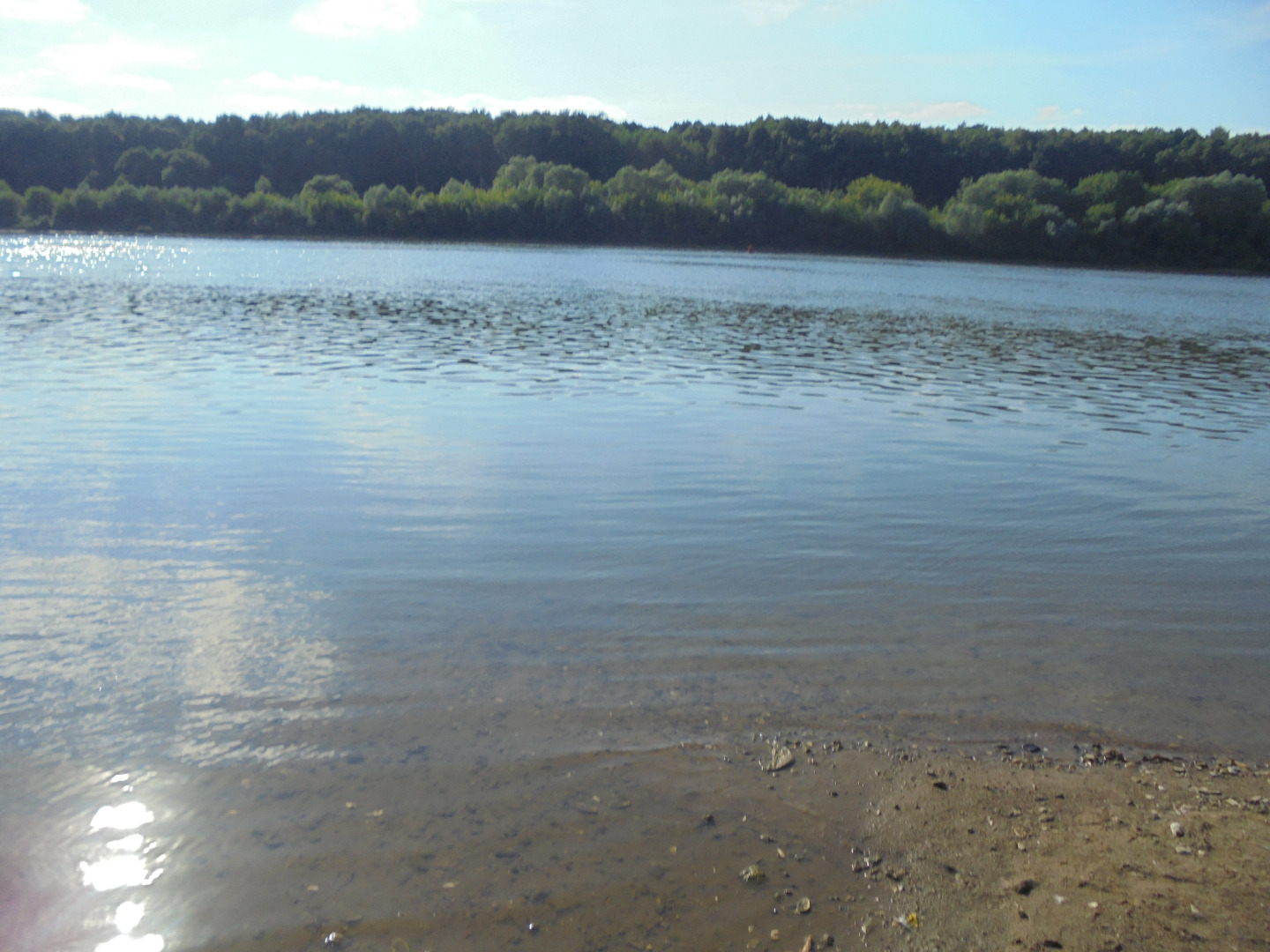 Частный дом Коттедж у Оки