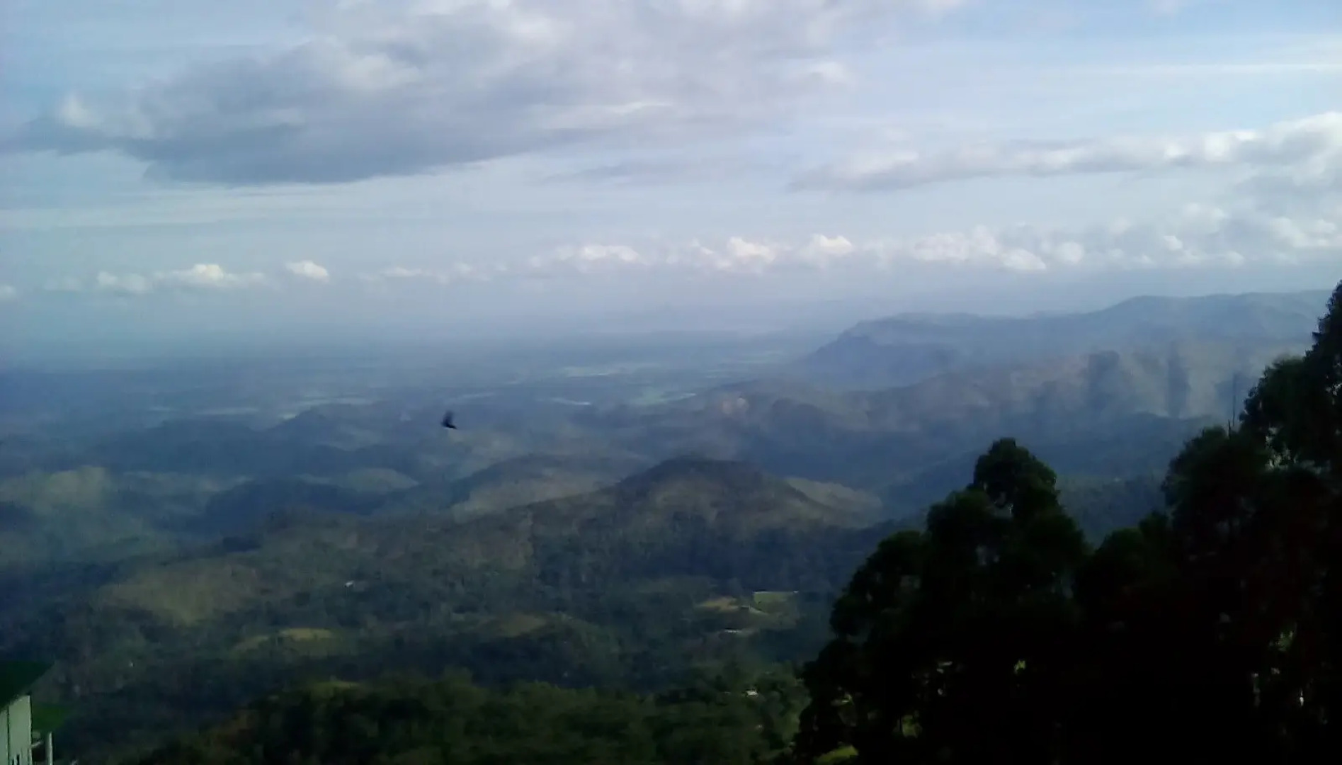 Отель Blackwood