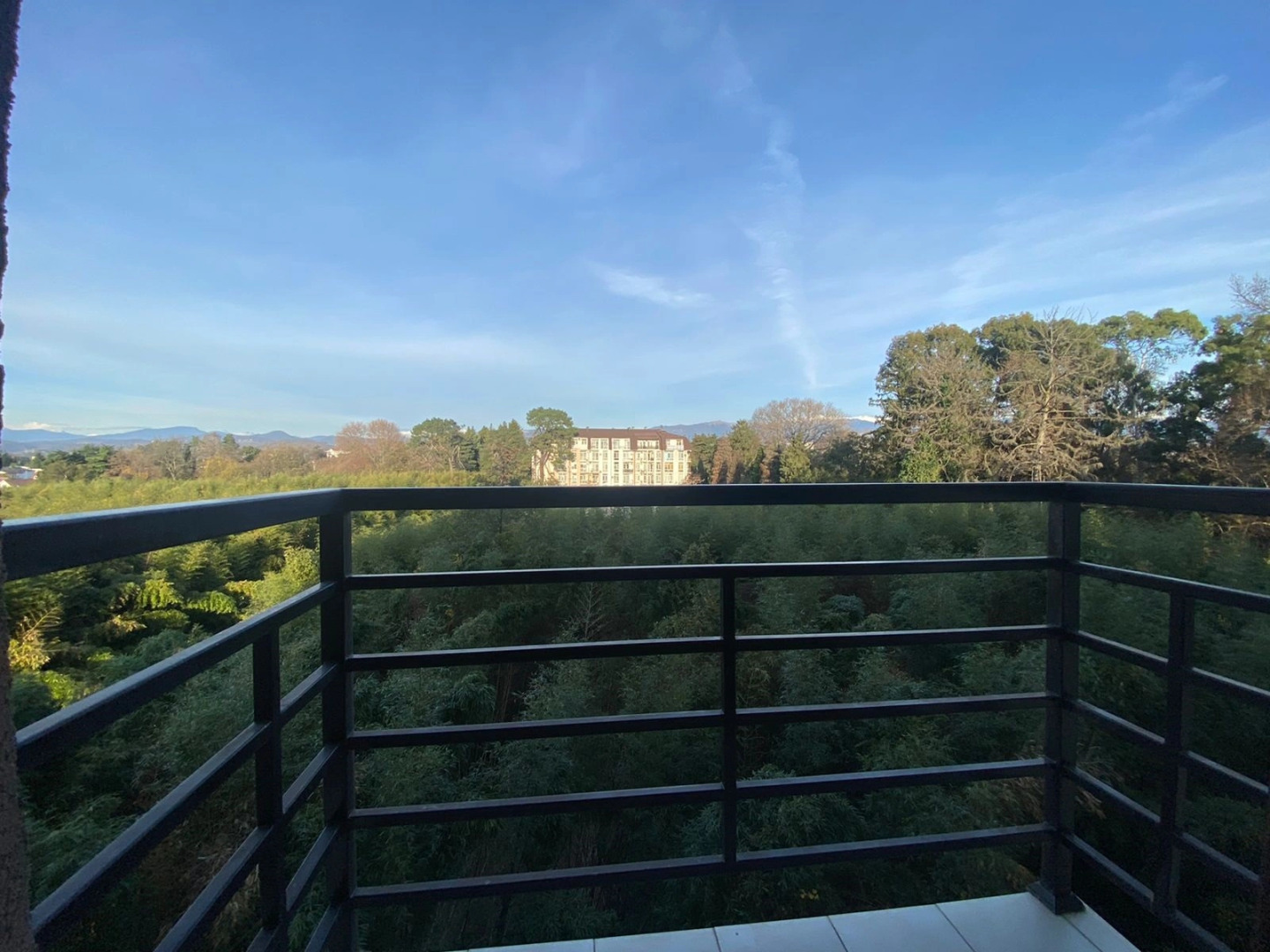 Море квартир с панорамными окнами вид на бамбуковую рощу