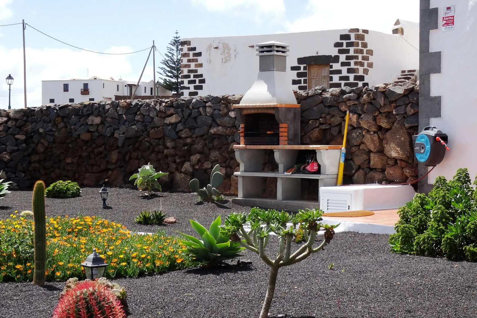 Aloe In Teseguite On Lanzarote Chalet