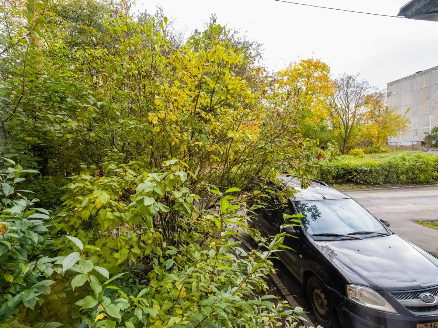 Апартаменты Студия в Воскресенке