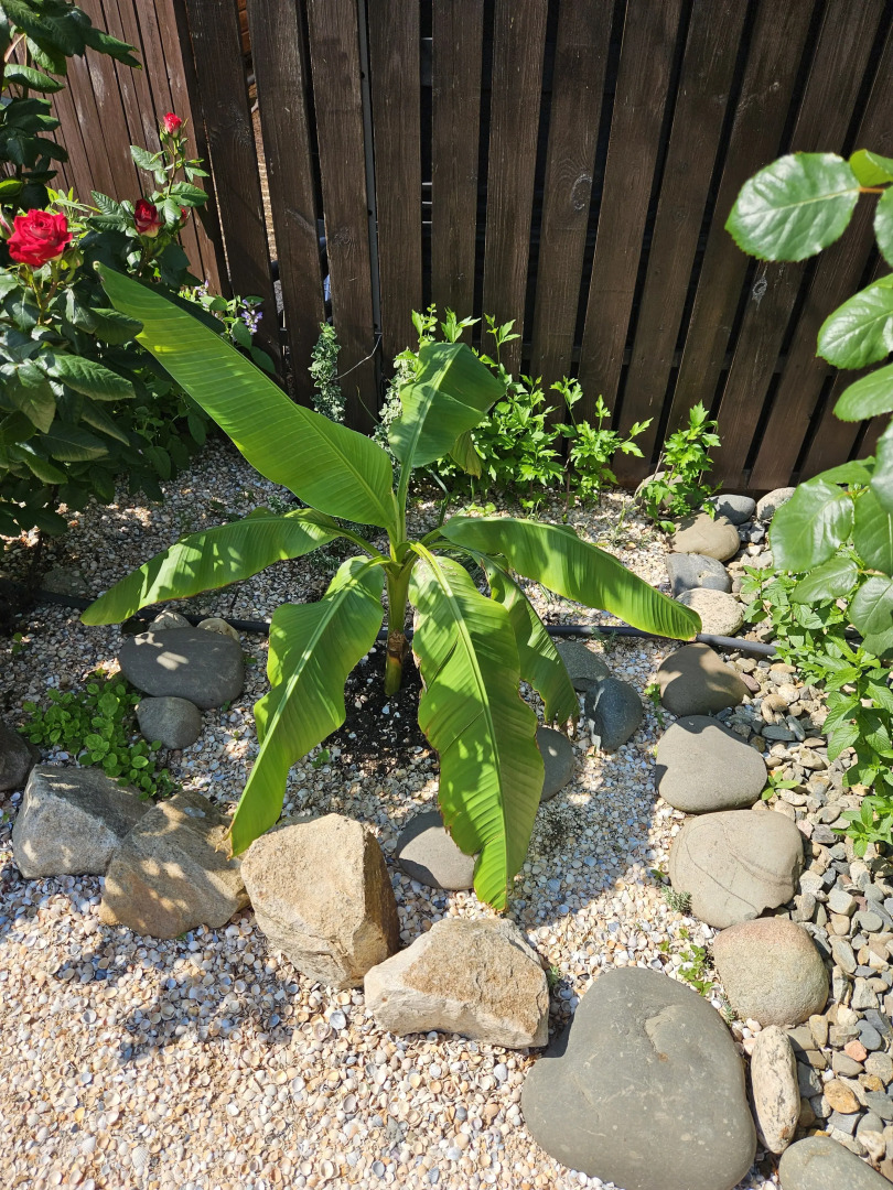 Апартаменты Holiday Home at Frunze