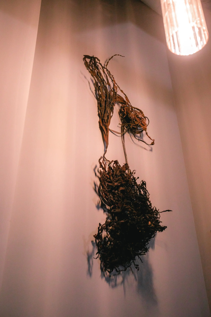 Хостел YAGEL LOFT