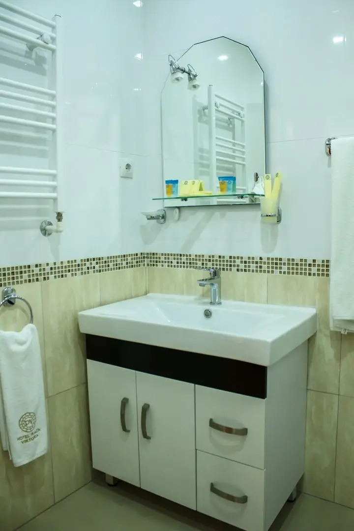 Отель Plaza Viktoria