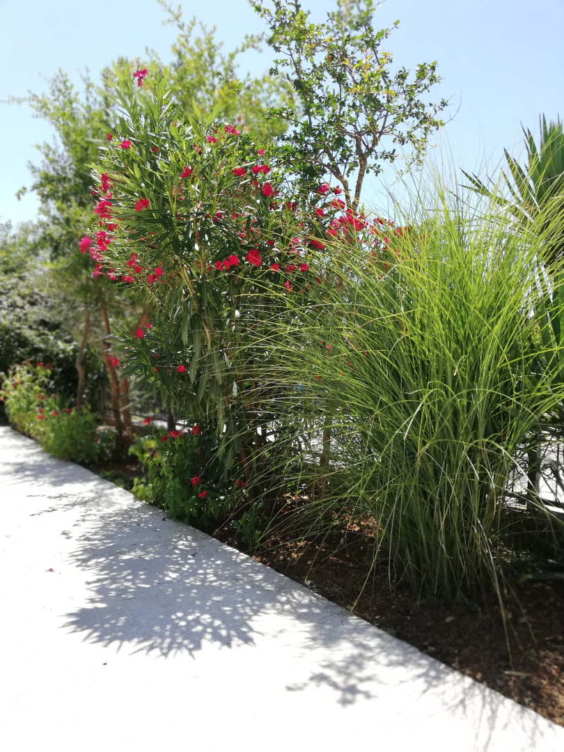 Апартаменты Tivat Luxury