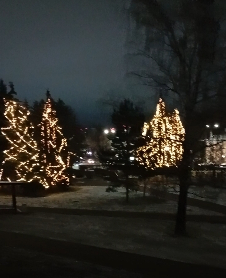 Квартира с видом на парк