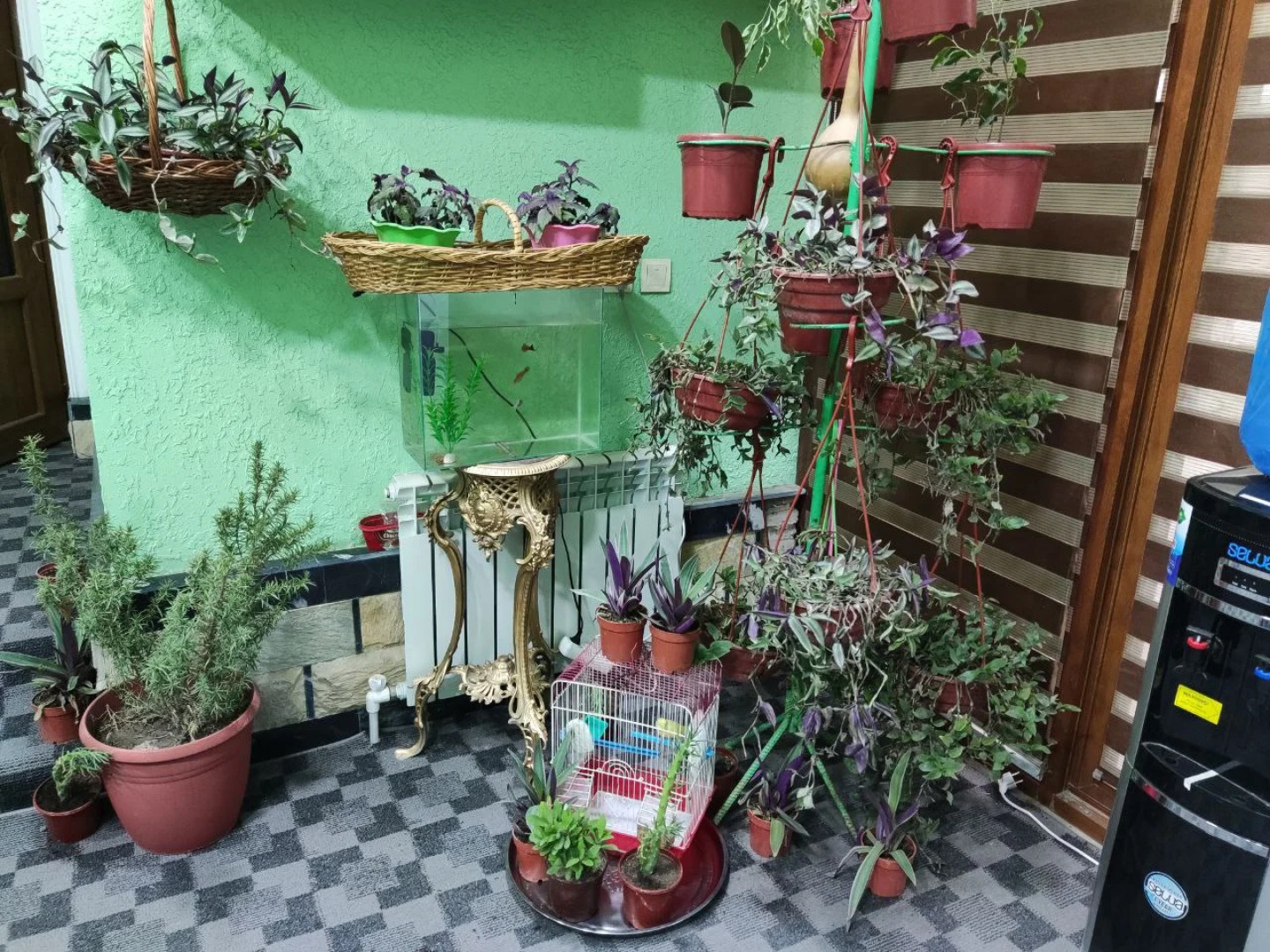 Отель Green House