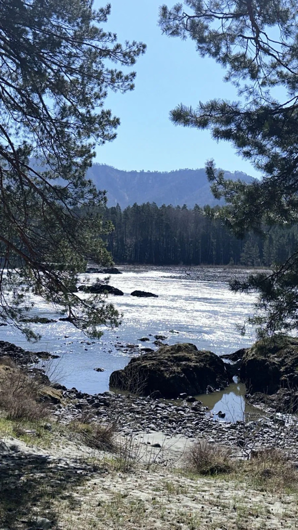 Отель Парк-отель Пилот