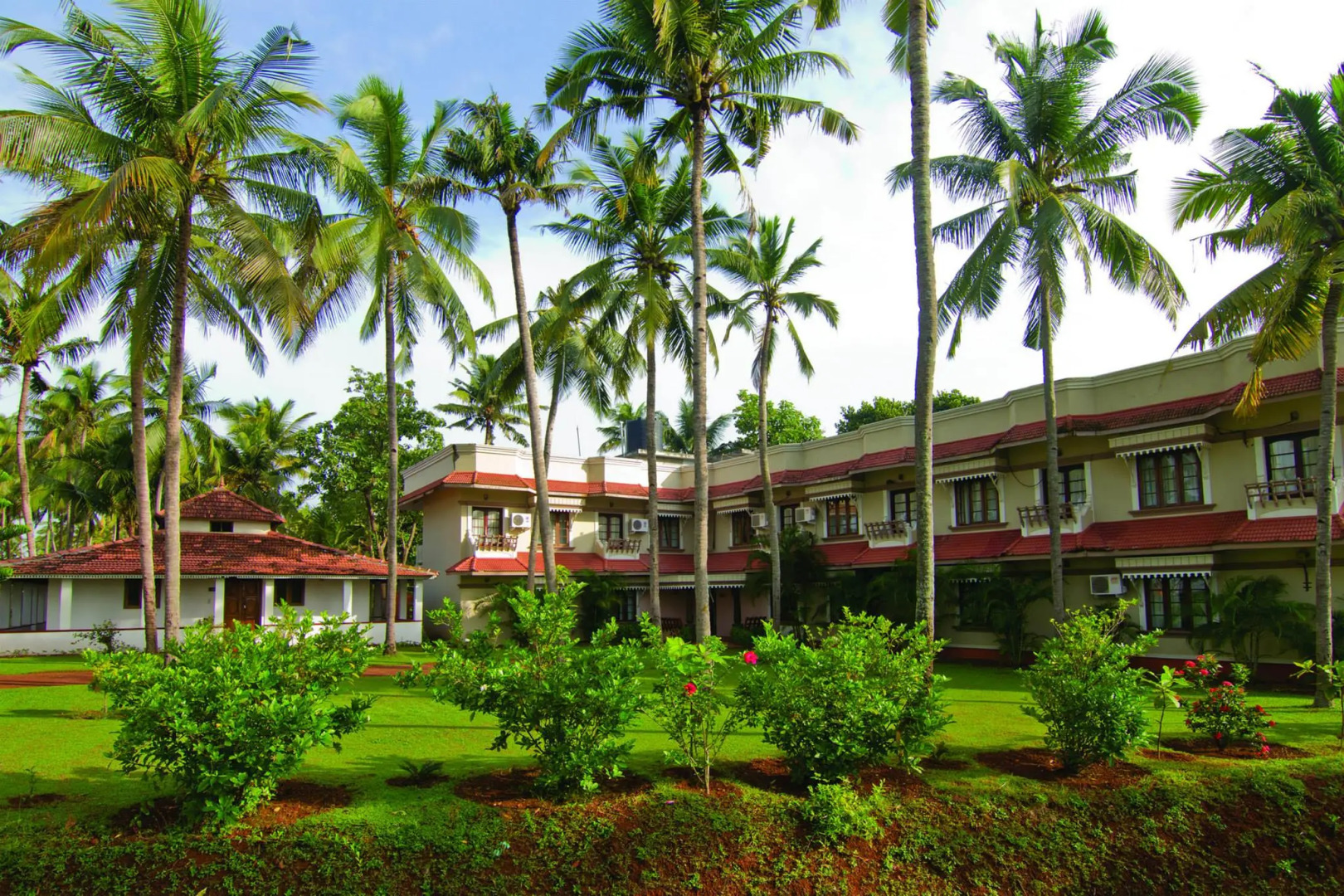 Отель Blooming Bay - Clifftop Beach Resort