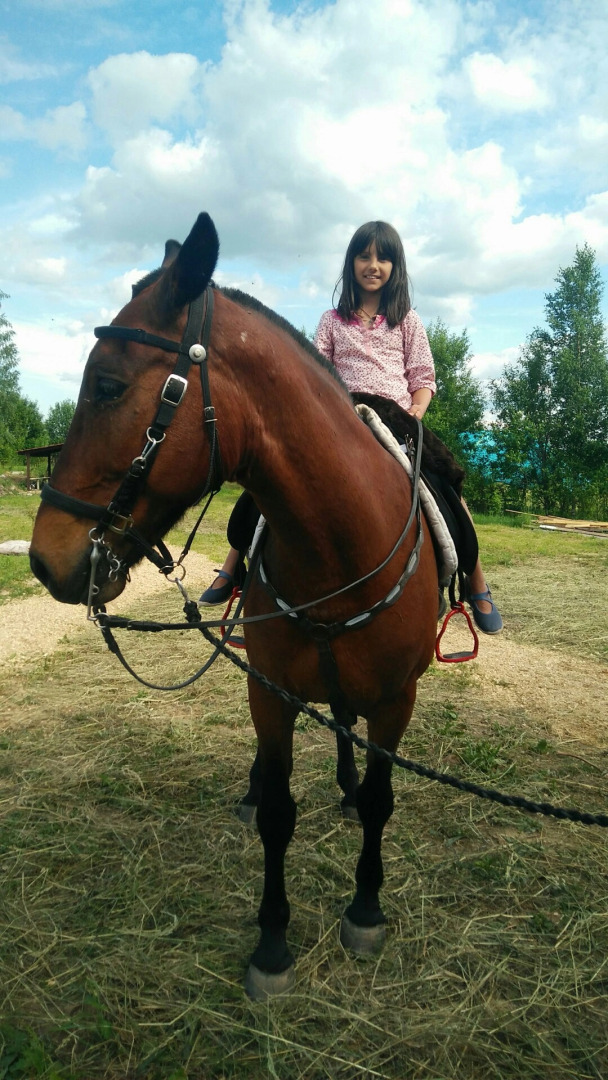 Podcherniche guest House