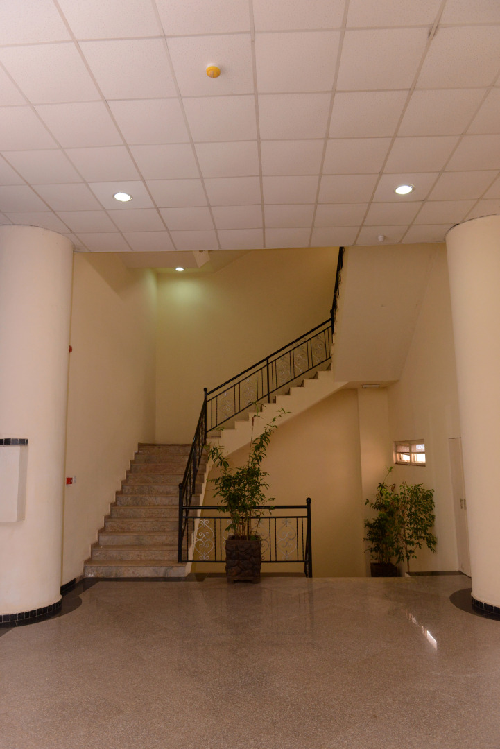 Отель The Statement