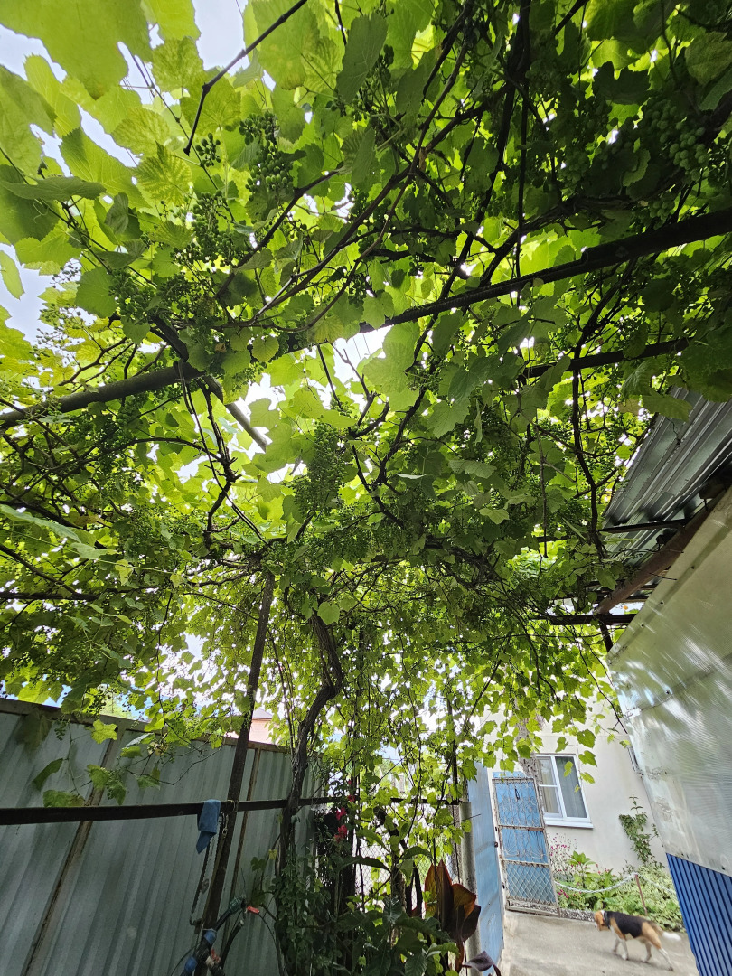 Гостевой дом Отдых в Алахадзы у Валерий