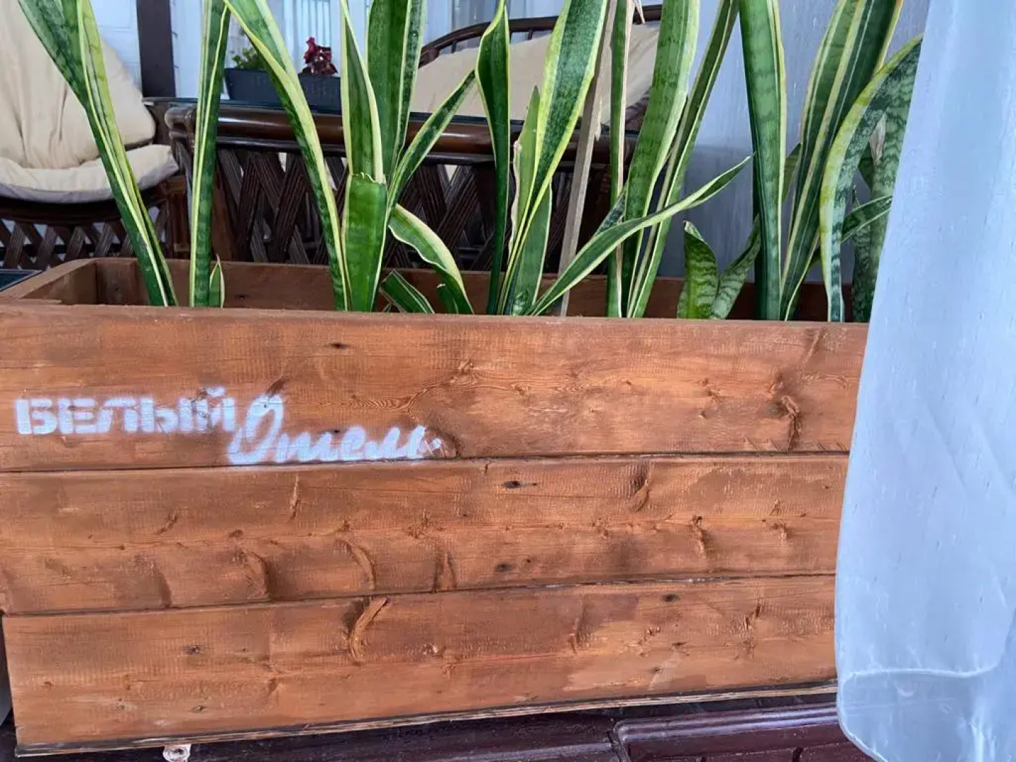 Отель Белый