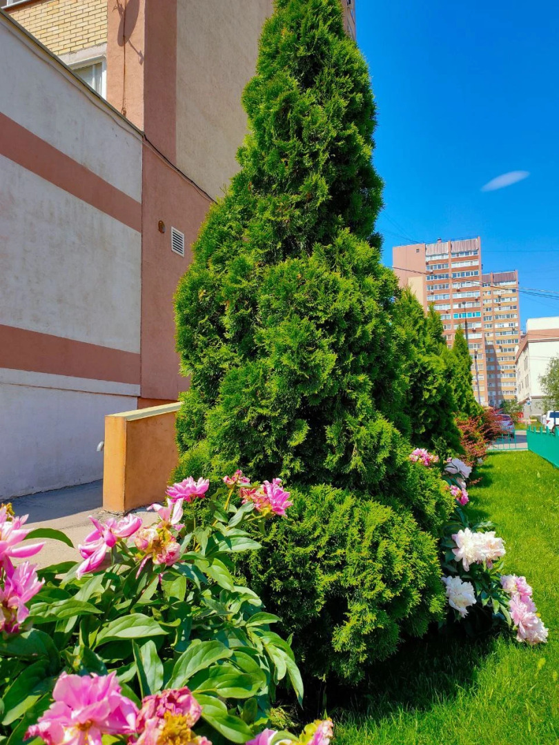 Апартаменты Mango Fresh