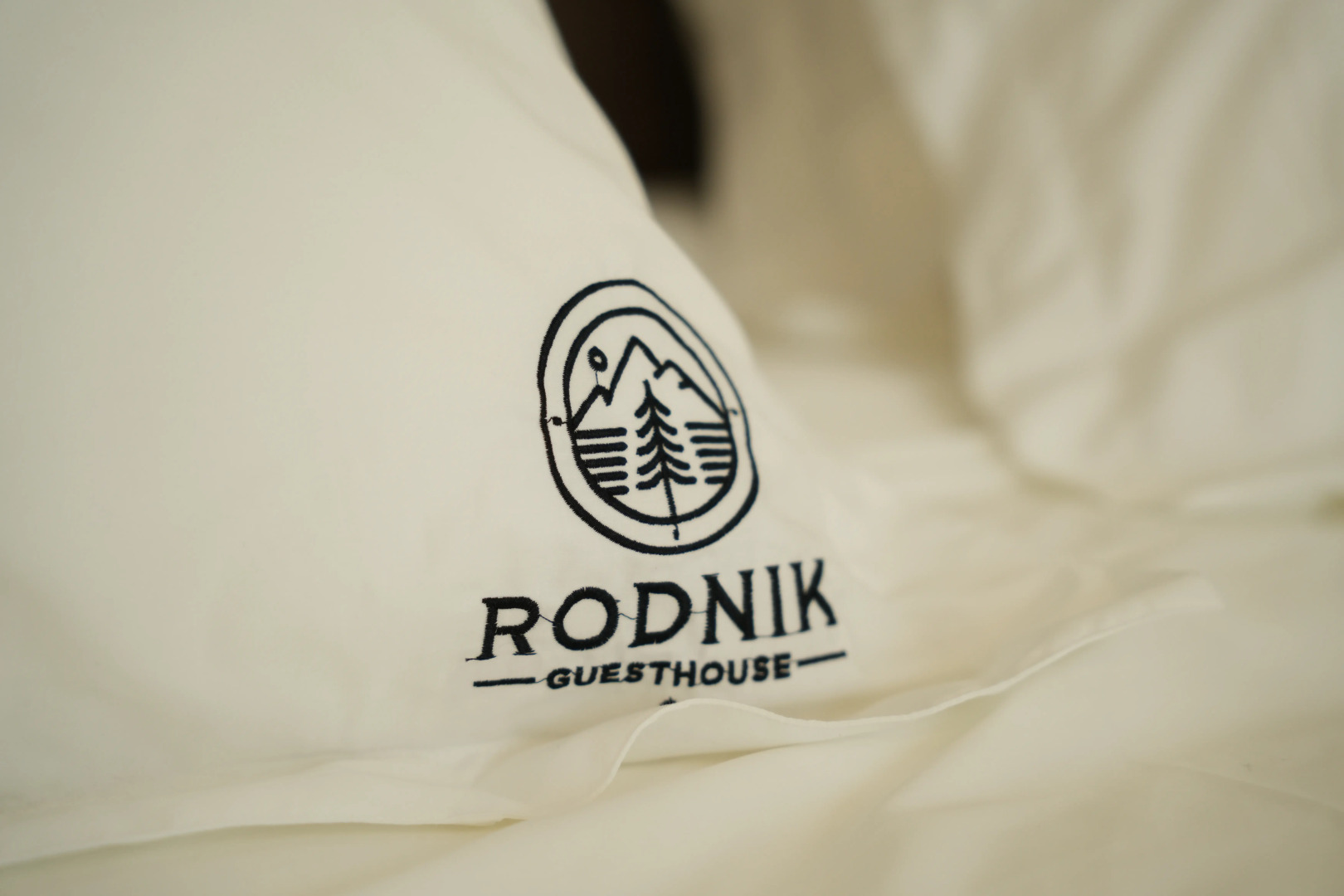 Коттедж Rodnik Almaty