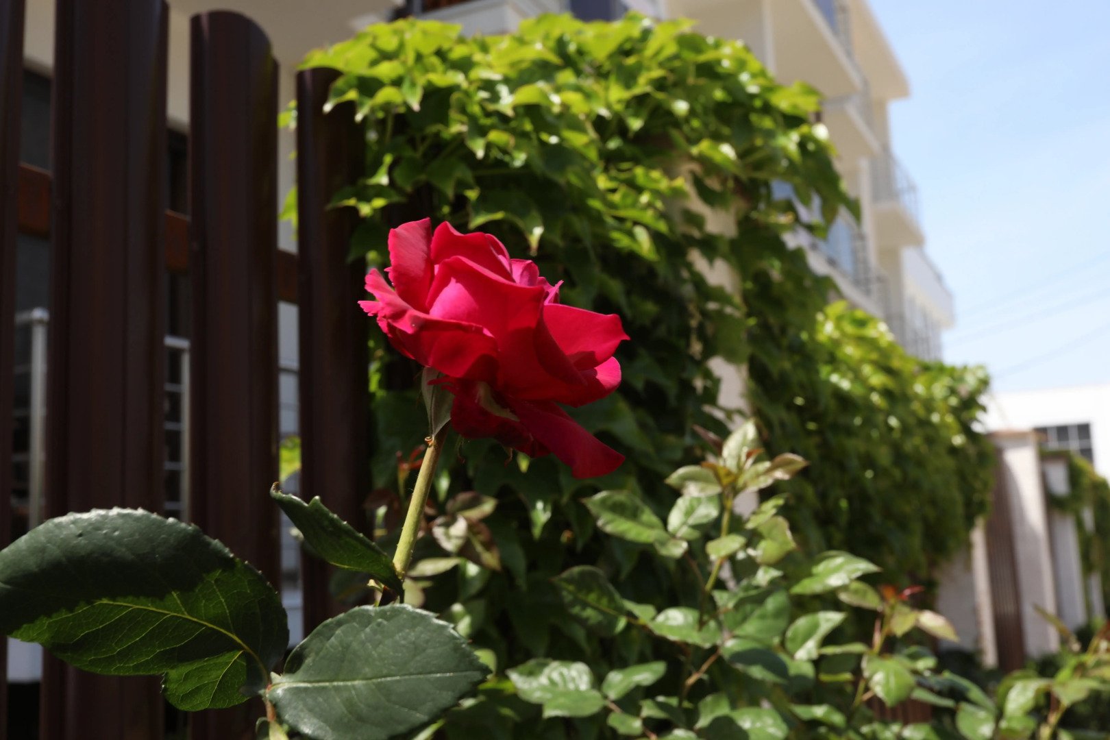 Гостевой Дом Династия (корпус 2)