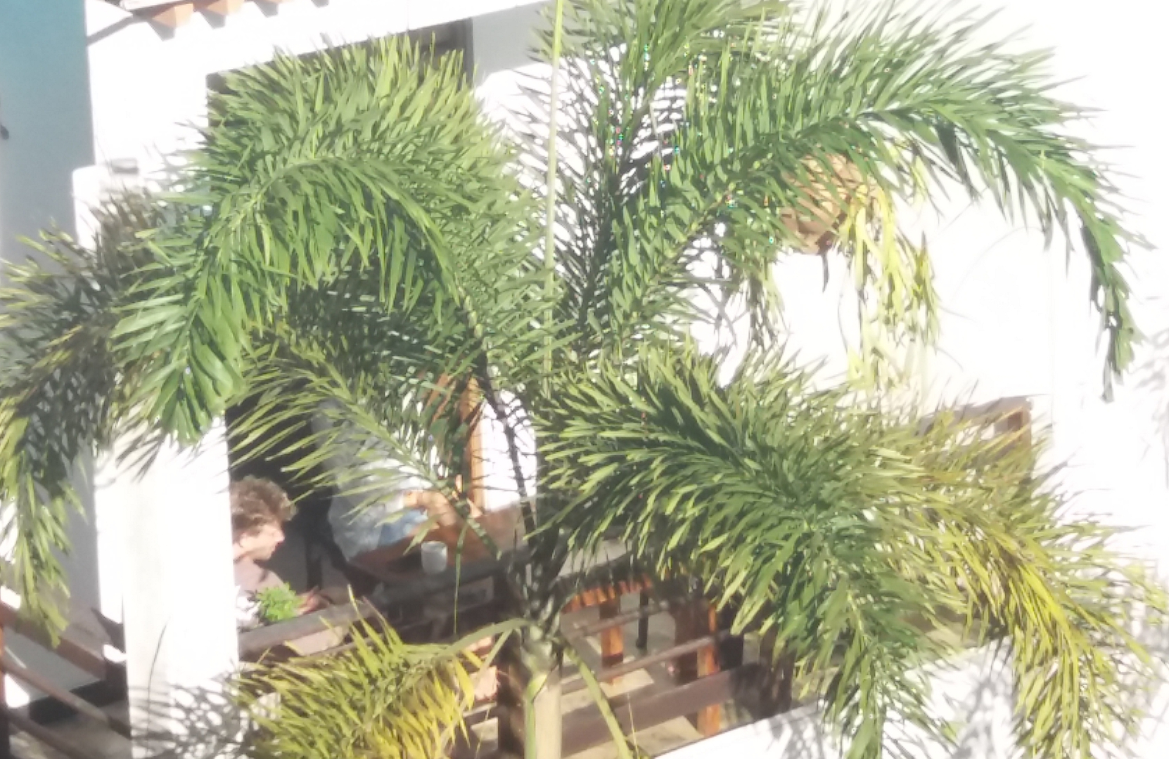 Вилла Four Seasons