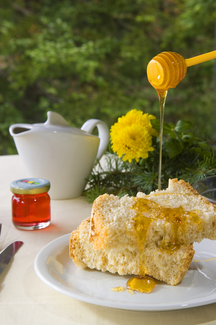 Отель Koutsikouris