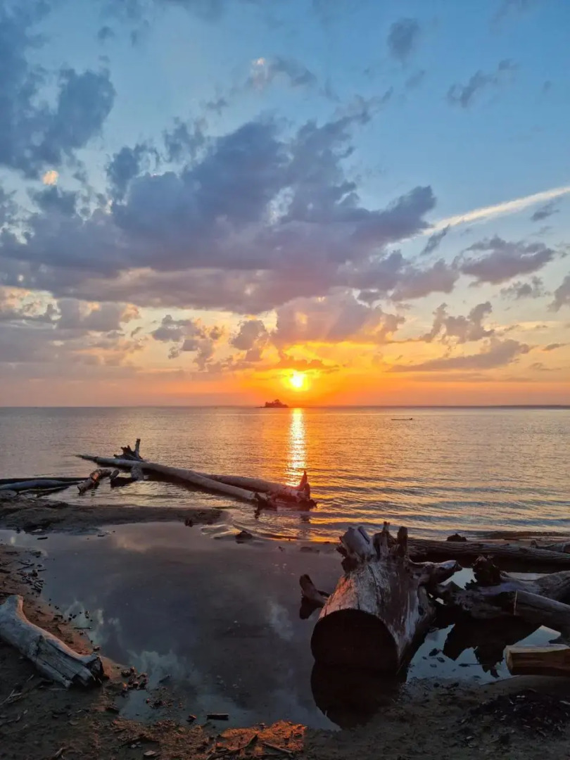 Апартаменты Лесная Свежесть