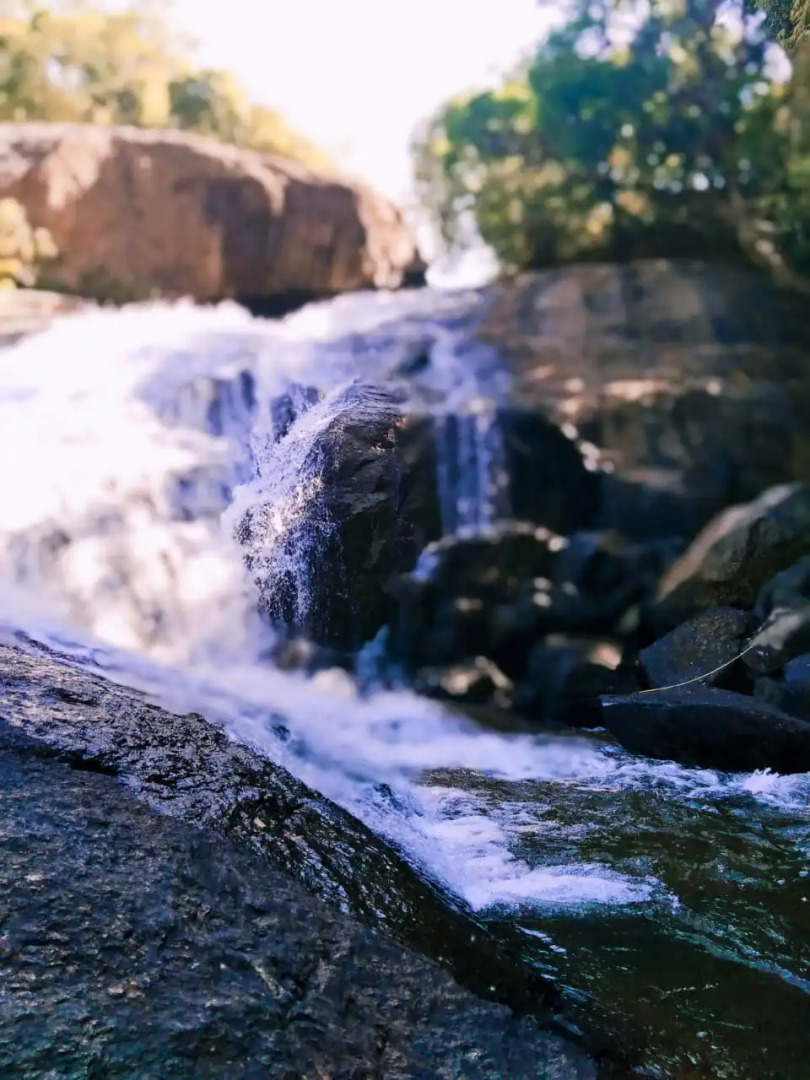 Moon Hill Resort Munnar ( Nature Retreat )