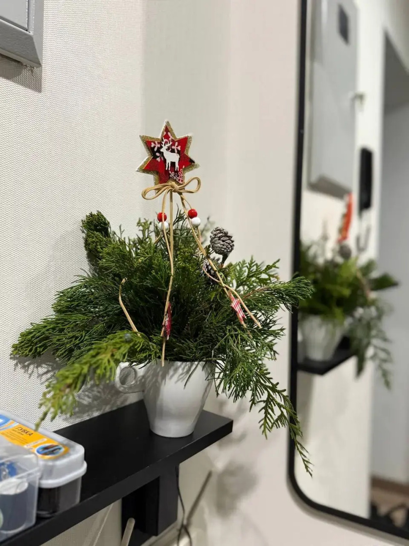 Апартаменты GREEN от семейной сети Mascaron Apartments