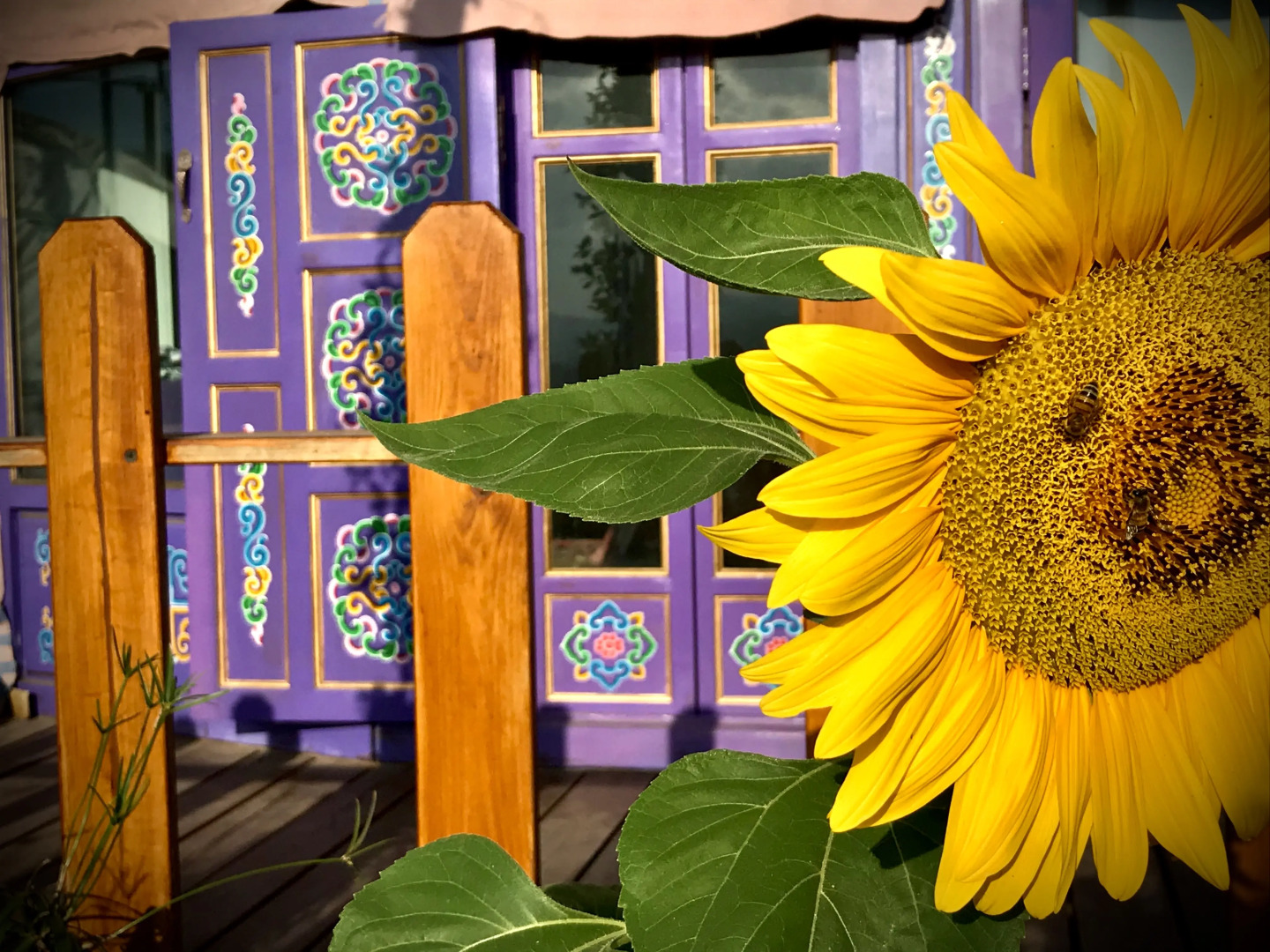 Глэмпинг Nirvana Yurts