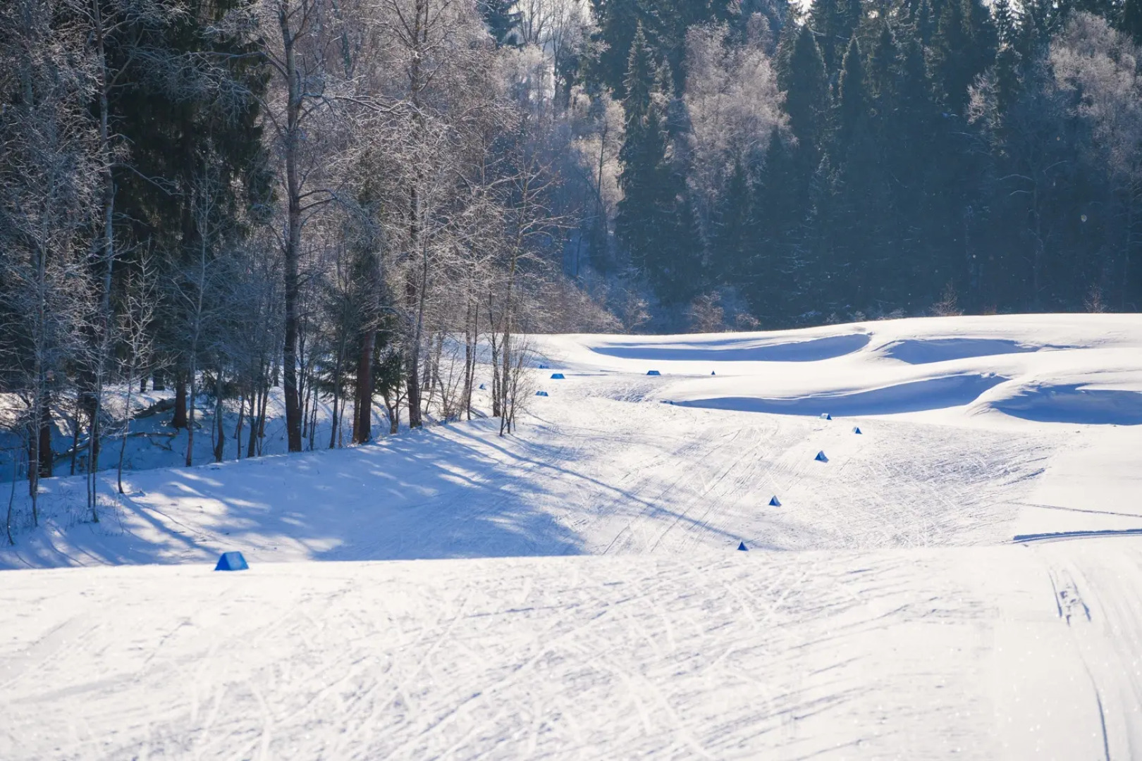 Отель Forest Hills Golf Resort by Moss