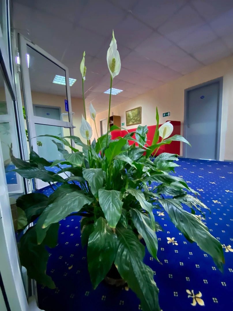 Отель Киевская