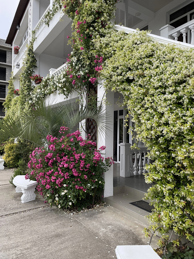 Hotel Phanakopi
