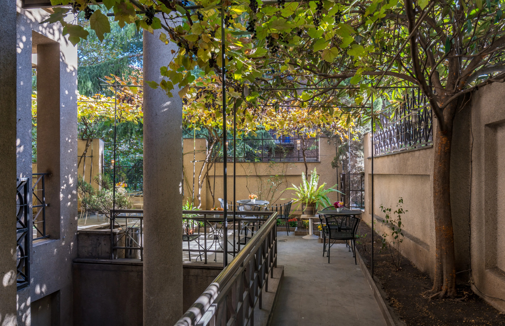 Отель Илиани