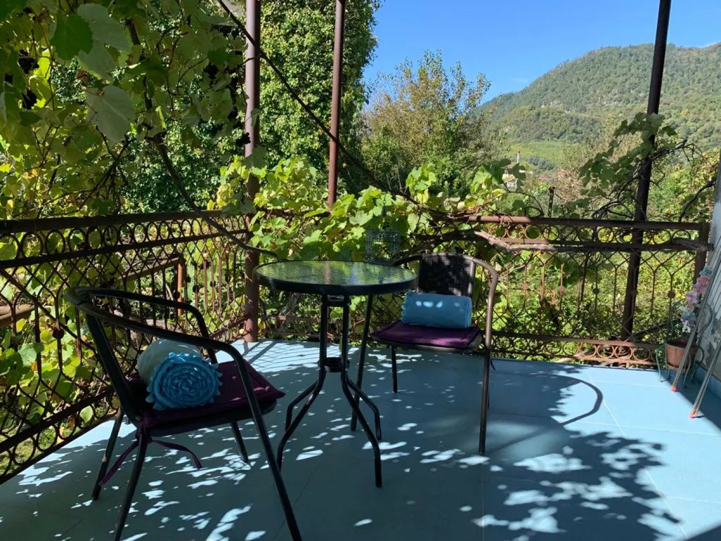 Частный дом Агава