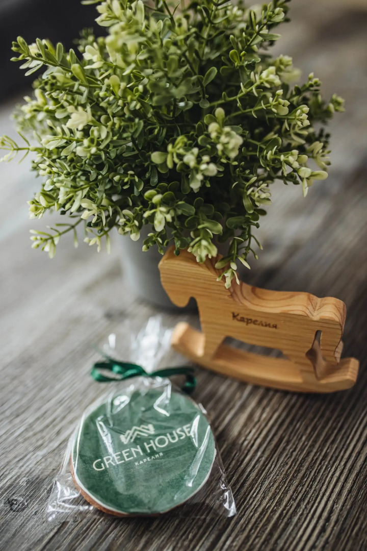 Гостевой дом Green house Kerelia