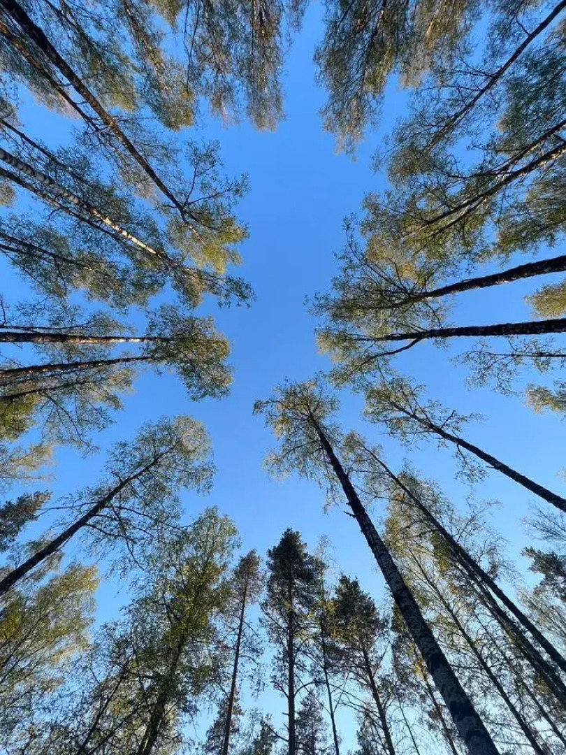 Апартаменты Уютный Дом A-frame