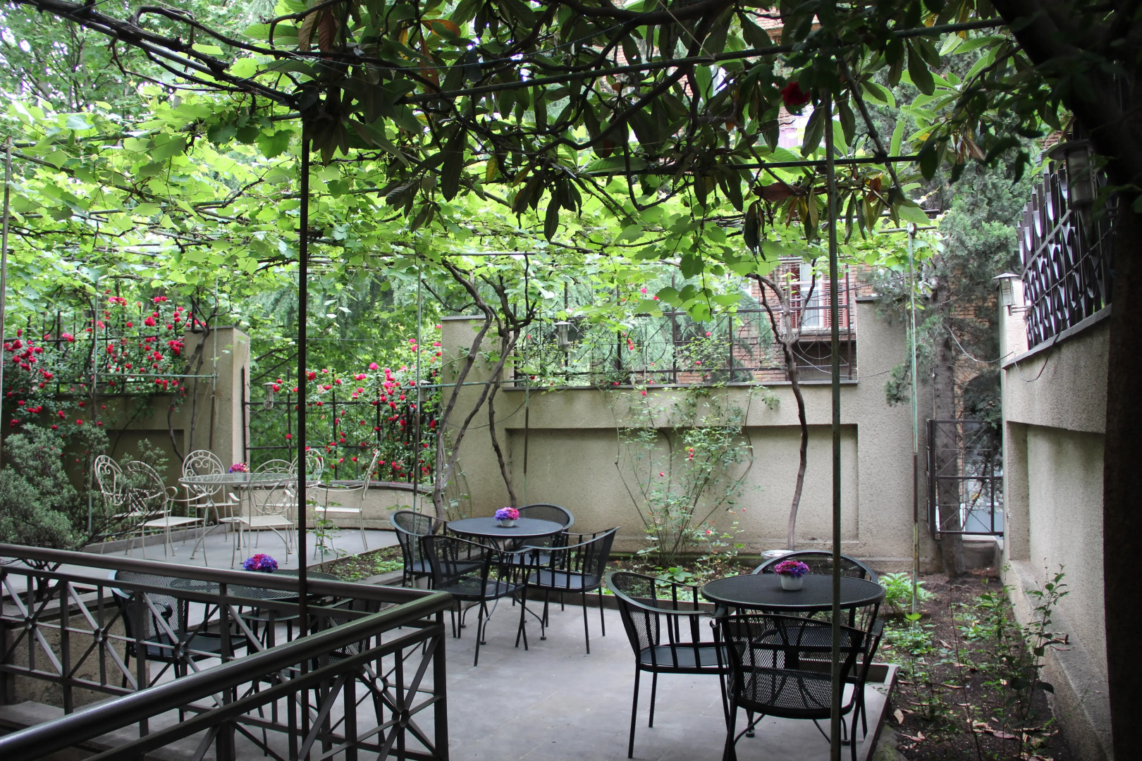 Отель Илиани