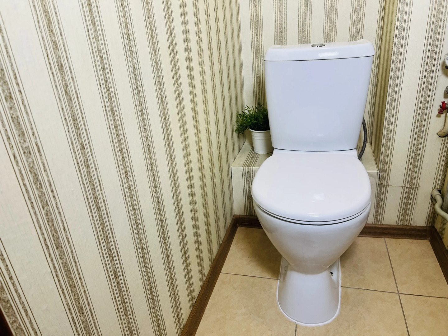 Квартира однокомнатная на улице Максима Горького 142А