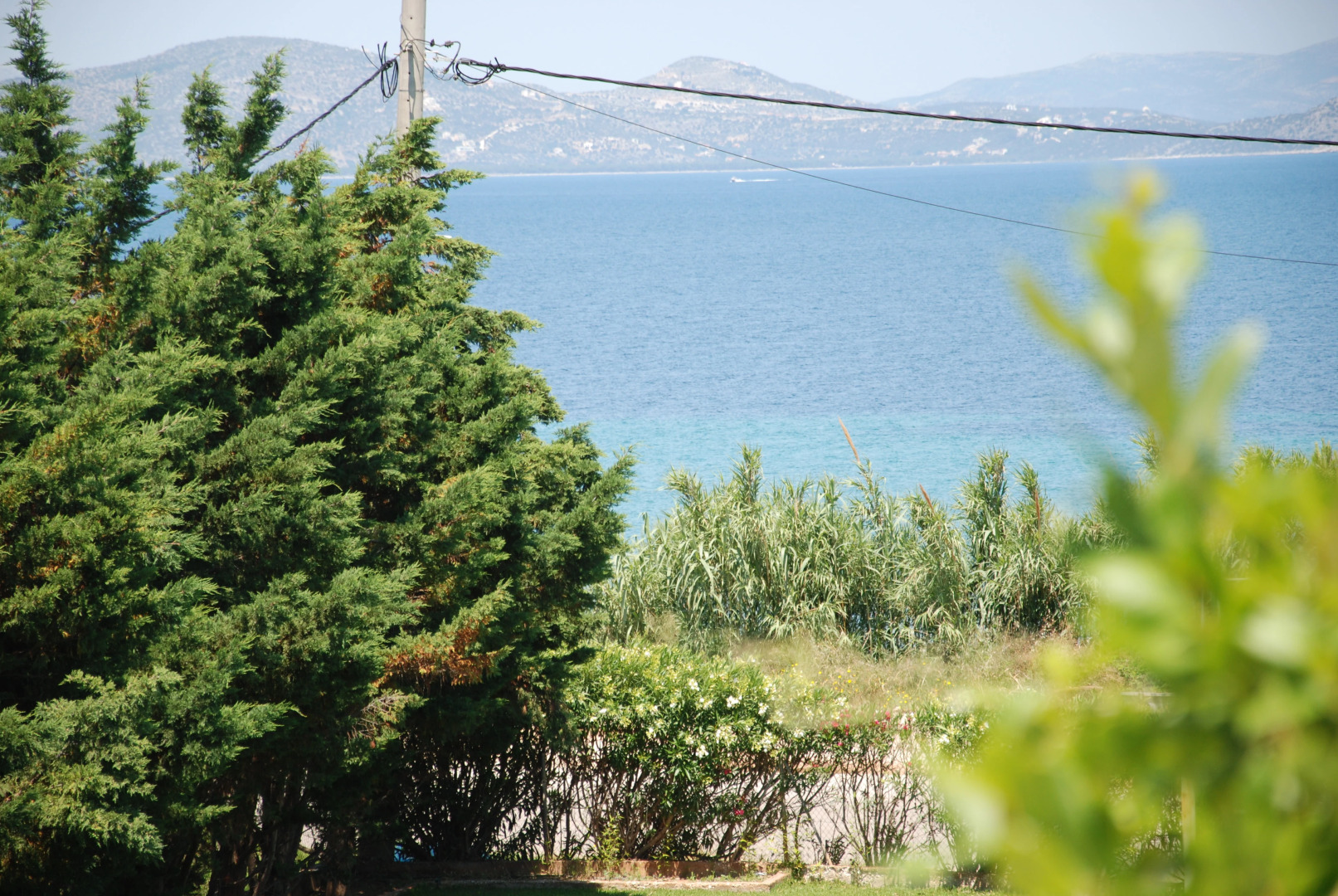 Вилла Alexander