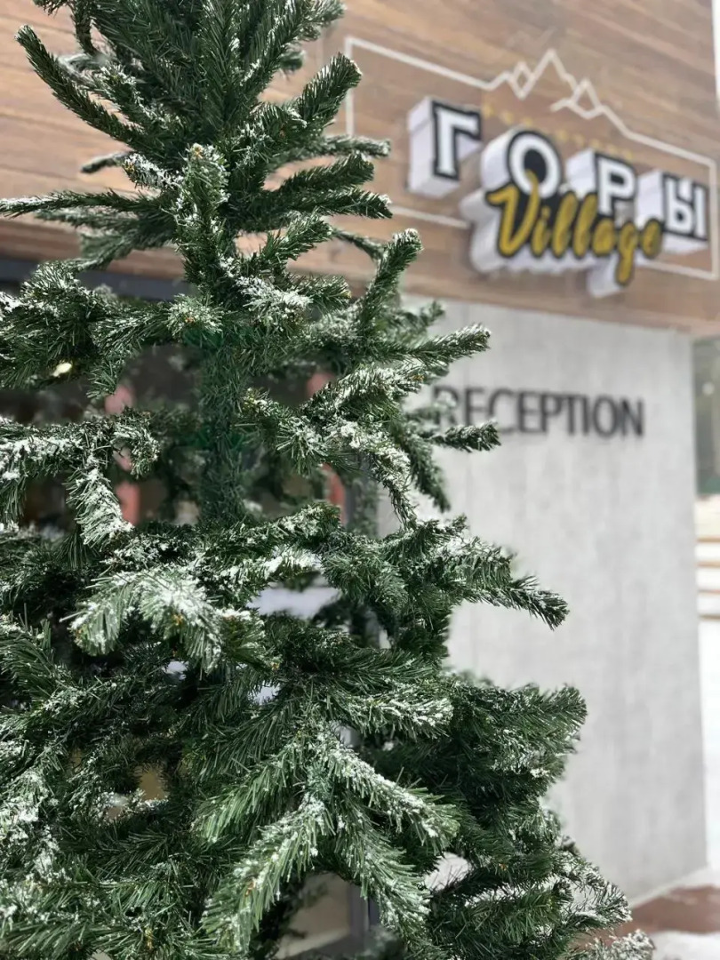 Отель Гoры Village