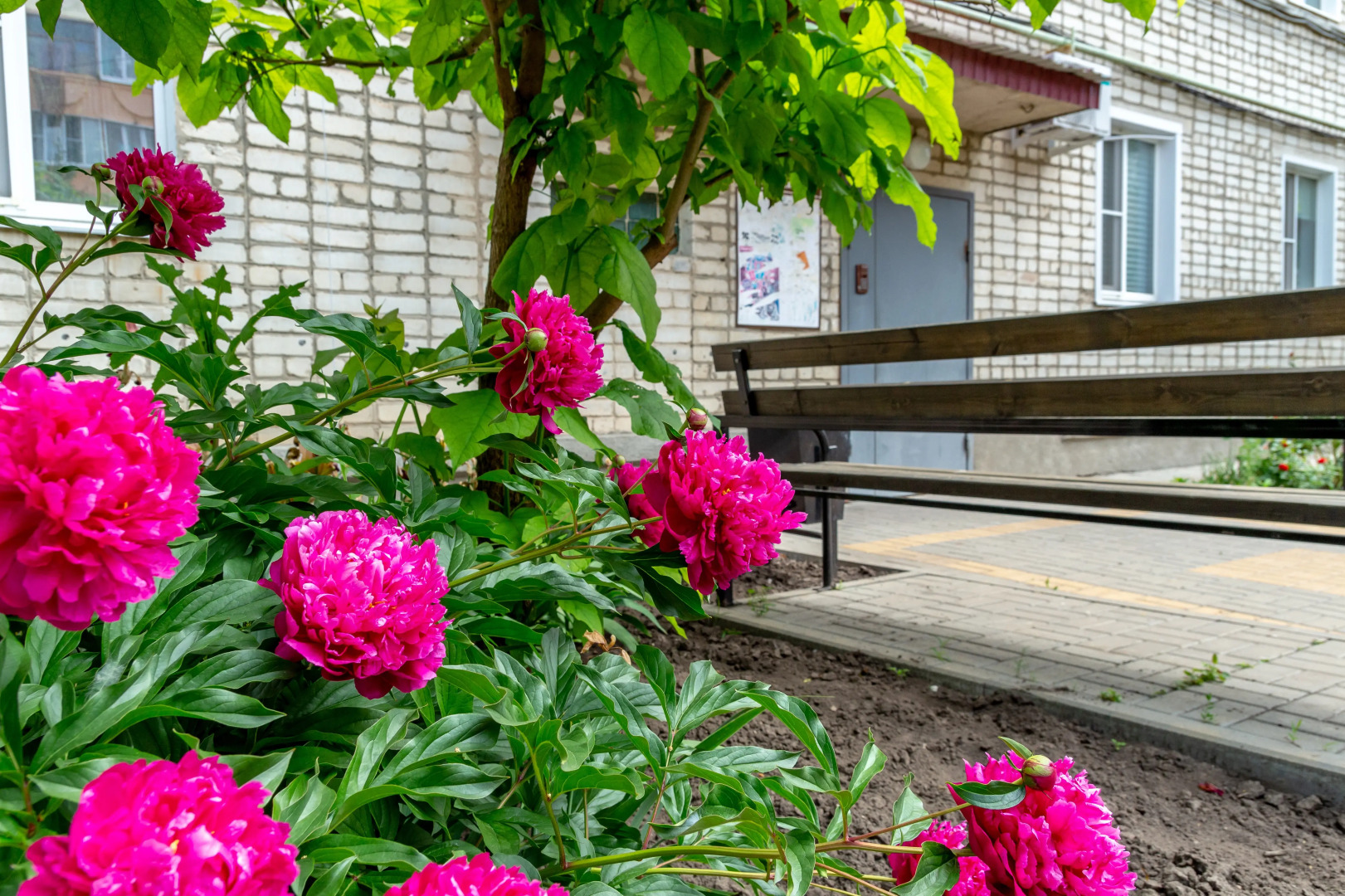 Квартира 2х комнатная Business Apart Lux на Маяковского