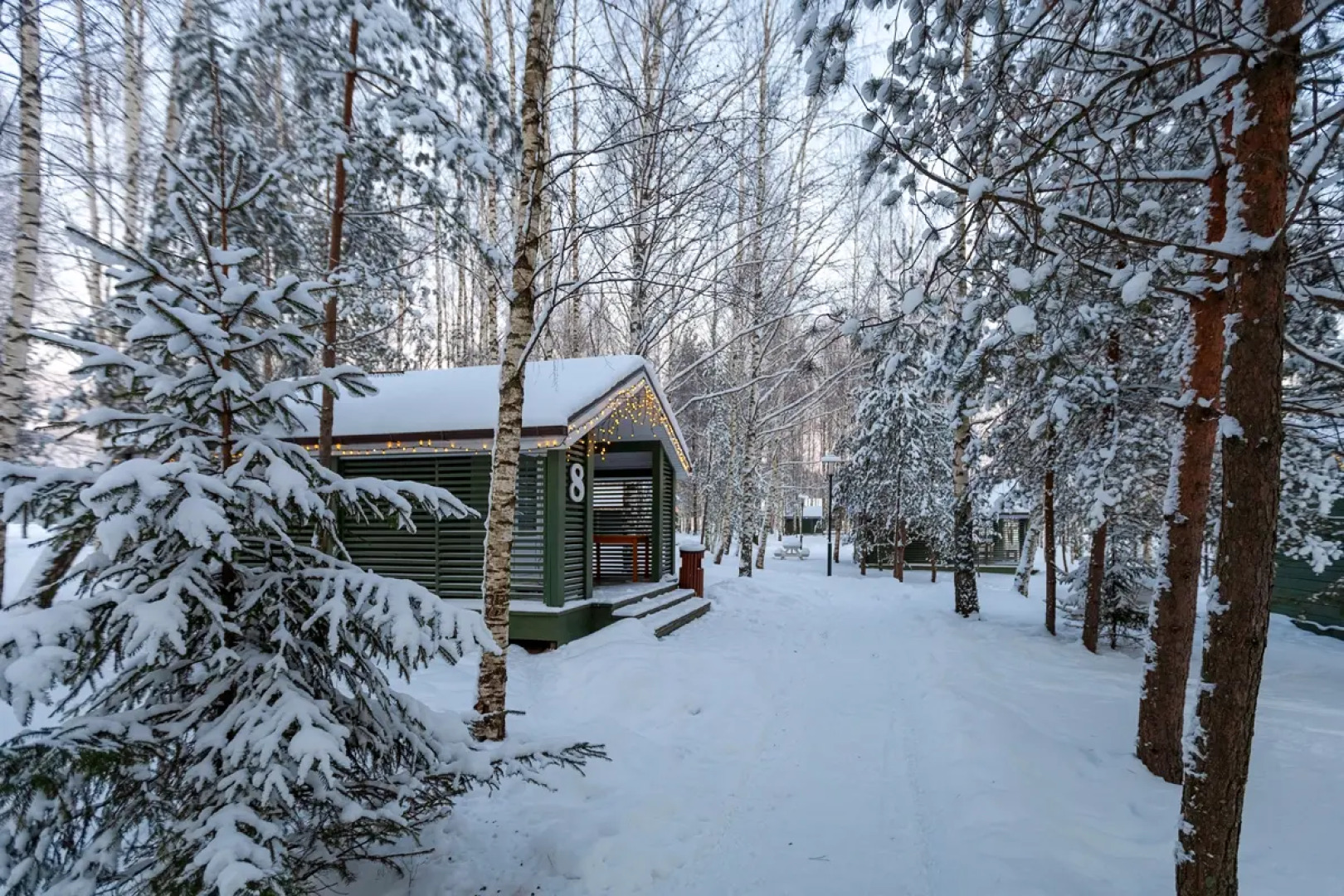 Кемпинг Завидово