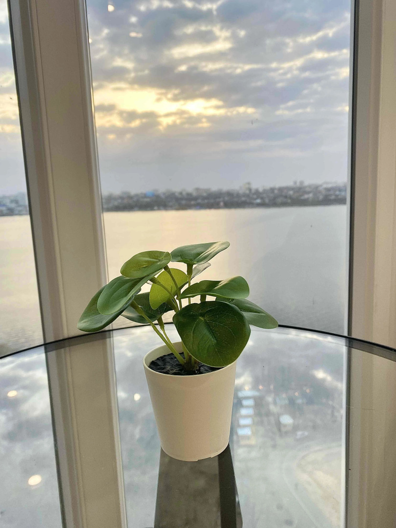 Апартаменты с видом на воду в ЖК Дельфин