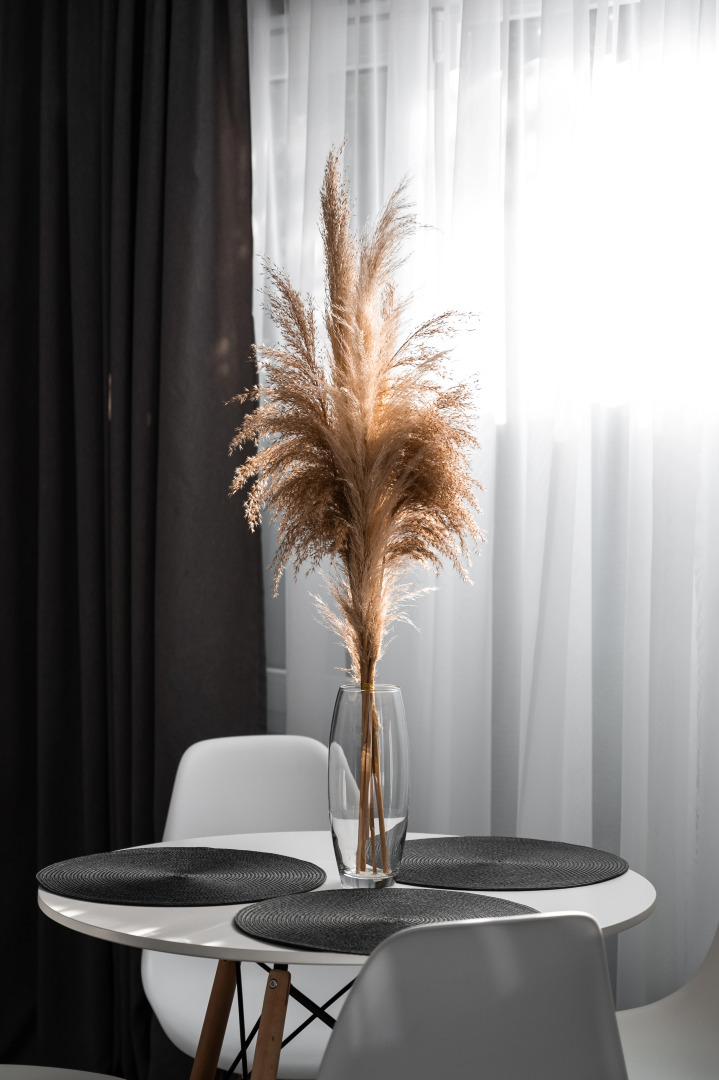 Меблированные комнаты Ecosuite Family