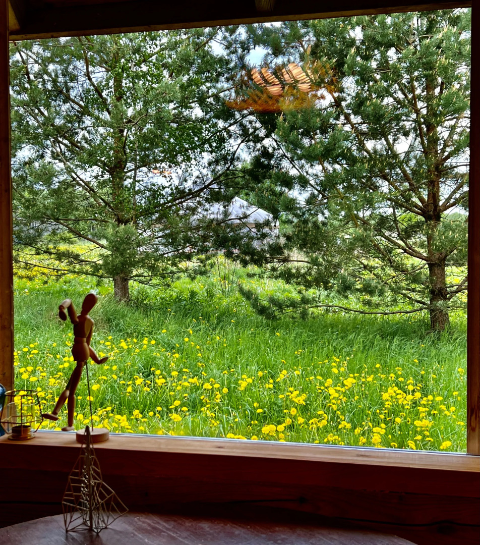 Гостевой дом в деревне Светлицы