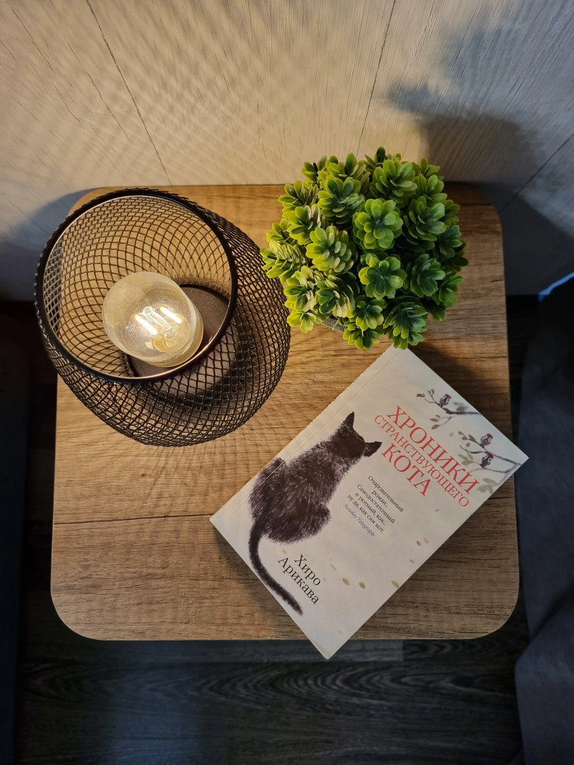 Апартаменты Рыжий Кот Центр