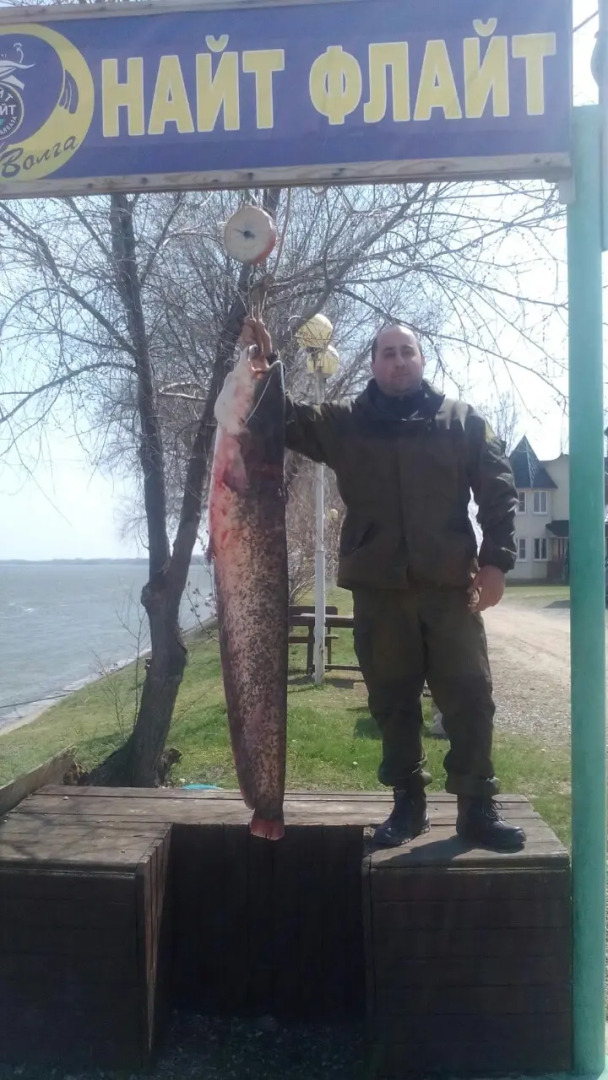 База Отдыха Найт Флайт