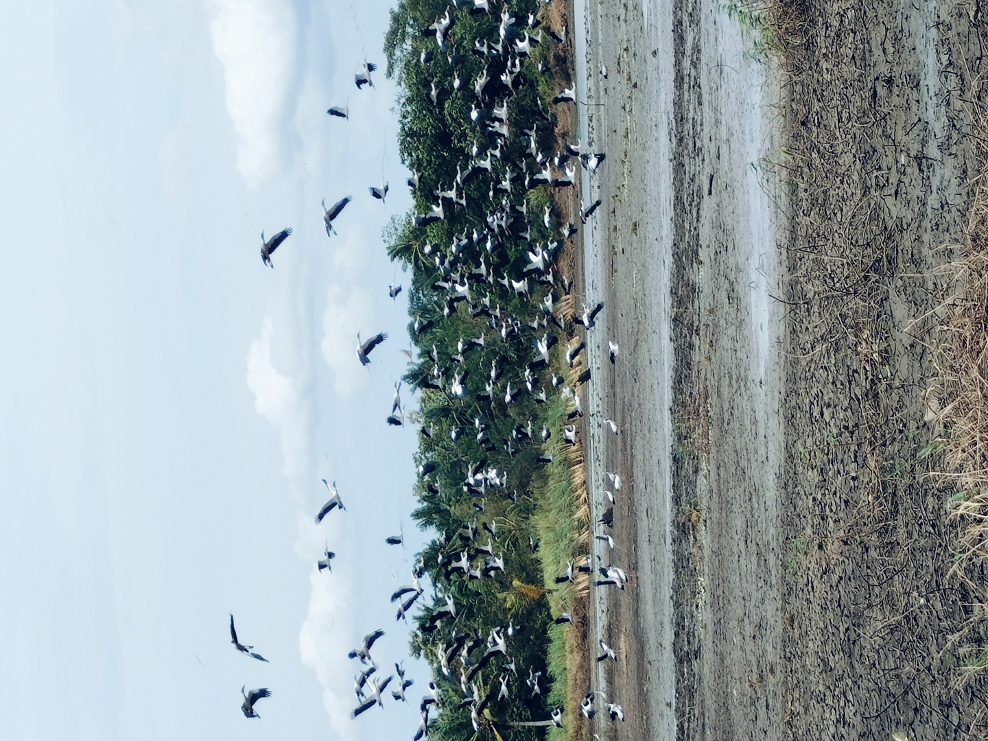 Глэмпинг Harmony Haven in Udawalawe