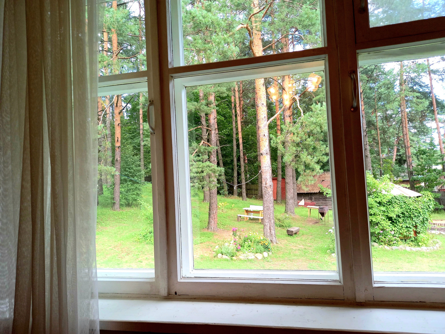 Дом у сосен